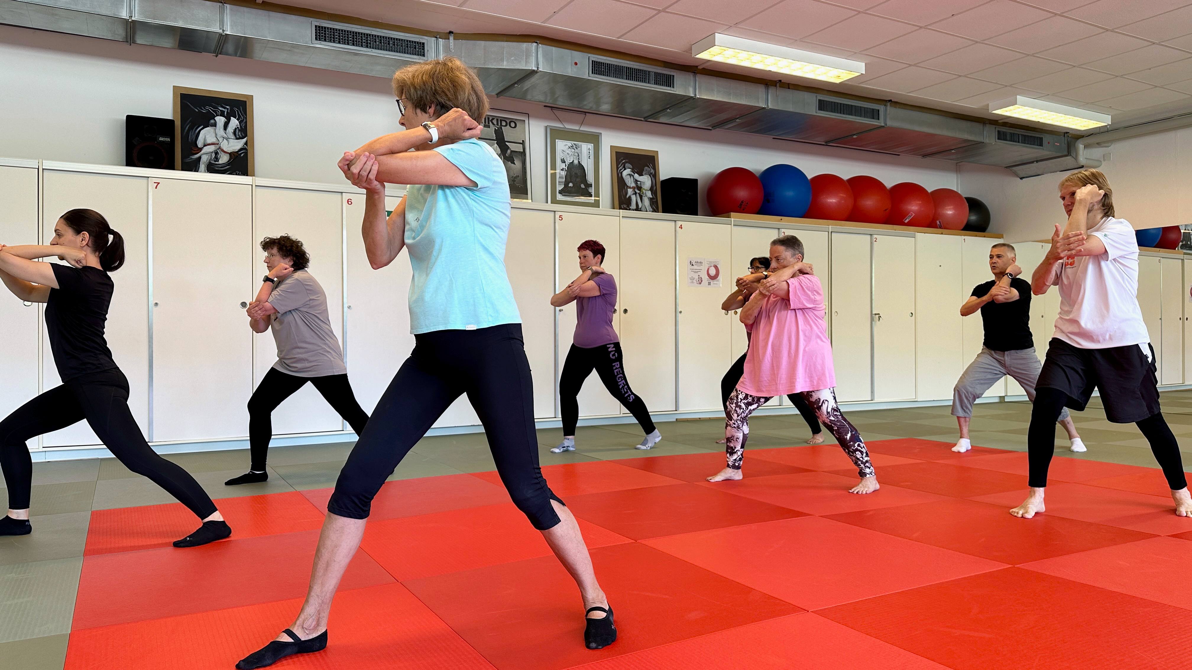 programme Okenawa art martiaux.jpg